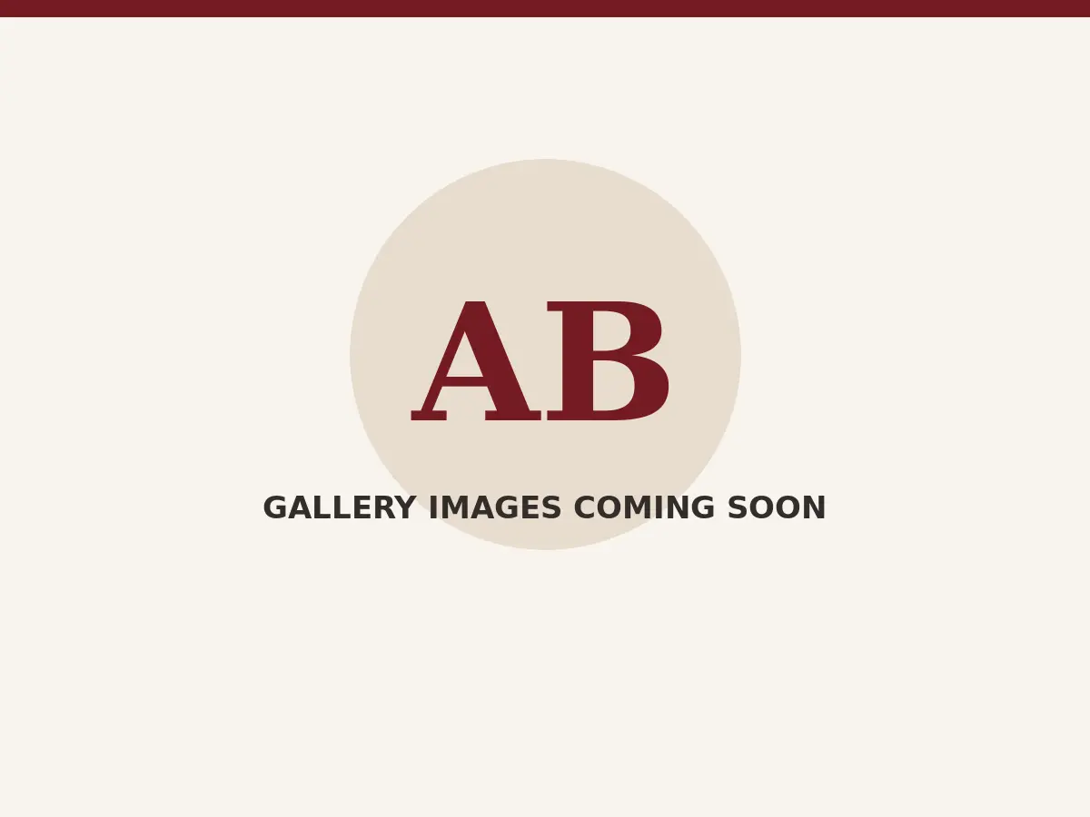 No images have been added to First Gallery yet